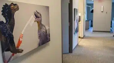Two llamas wearing colorful scarves hang art on an office hallway wall.